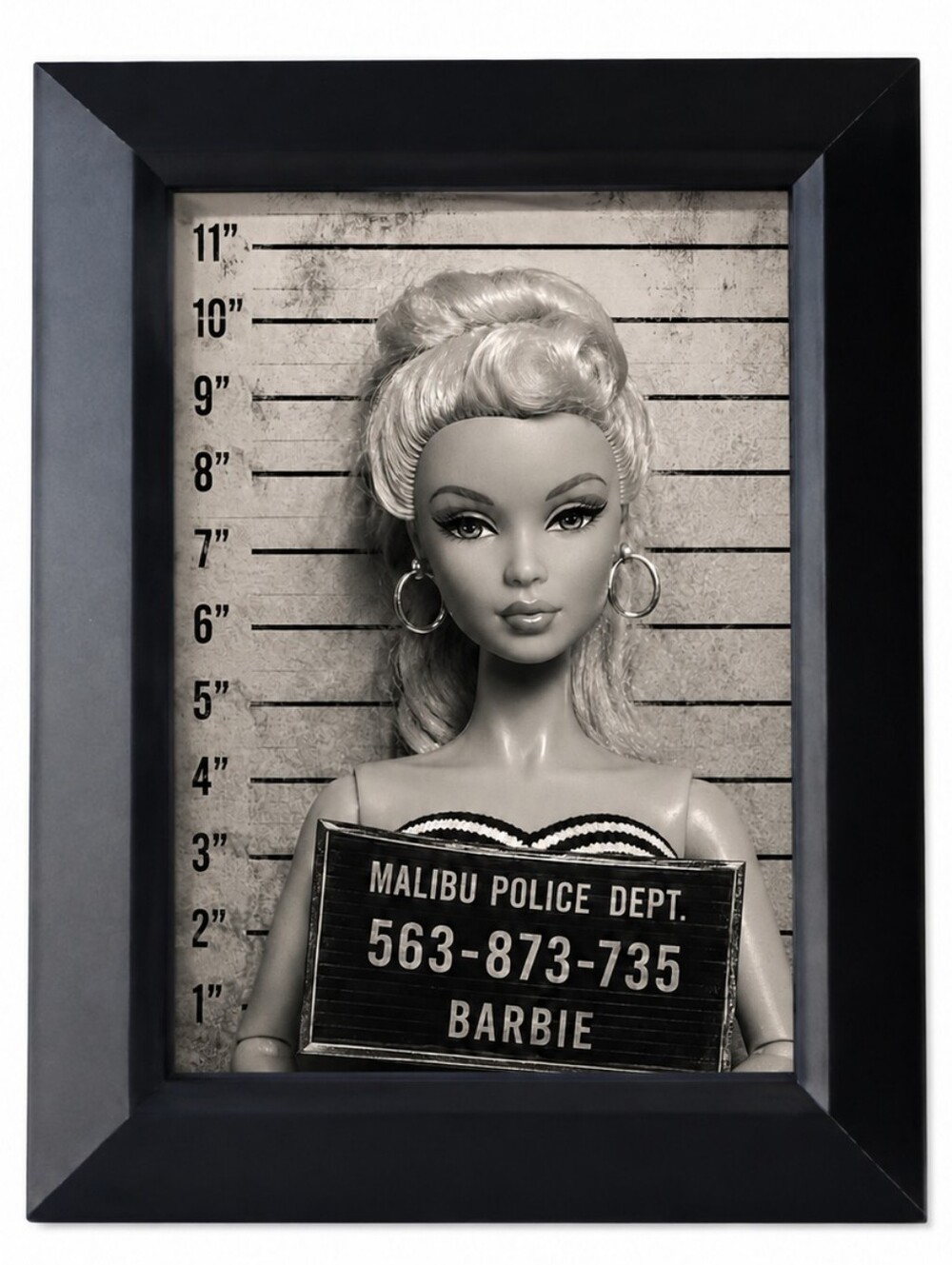 Vintage Funny art Malibu Barbie jailhouse mugshot Retro Fun home decor framed
